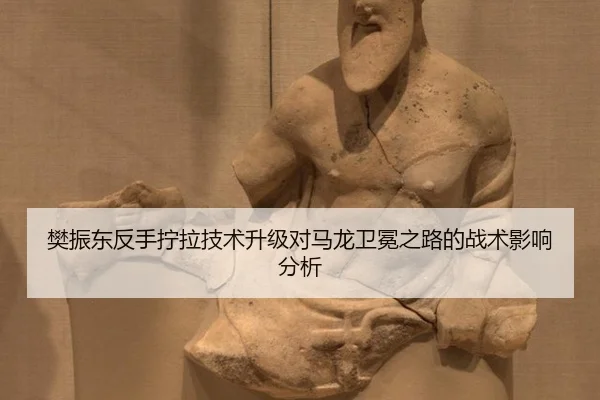fan-zhen-dong-fan-shou-ning-la-ji-shu-sheng-ji-dui-ma-long-wei-mian-zhi-lu-de-zhan-shu-ying-xiang-fen-xi-2-657.jpg